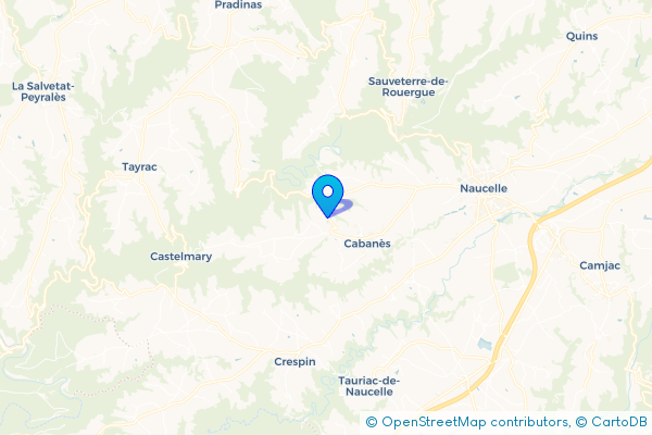 Épaviste à Cabanès (12800)