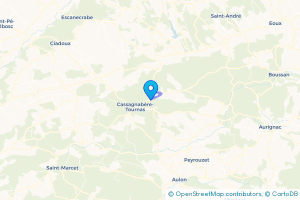 Épaviste à Cassagnabère-Tournas (31420)