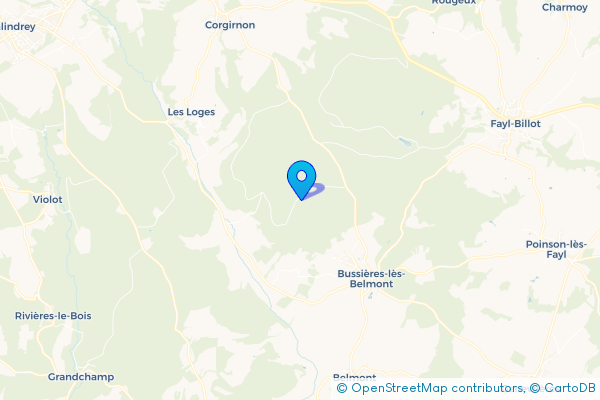 Épaviste à Champsevraine (52500)