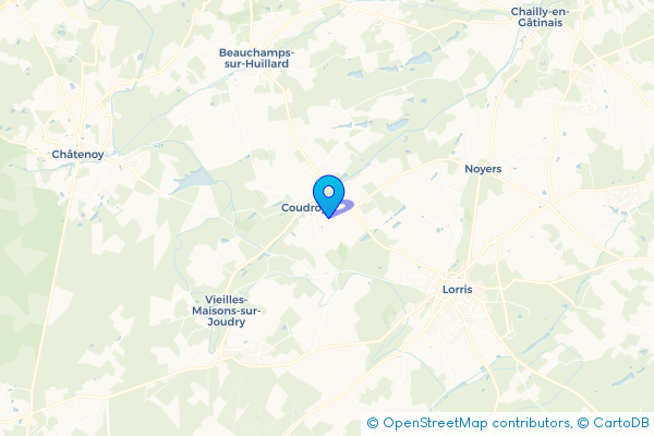 Épaviste à Coudroy (45260)