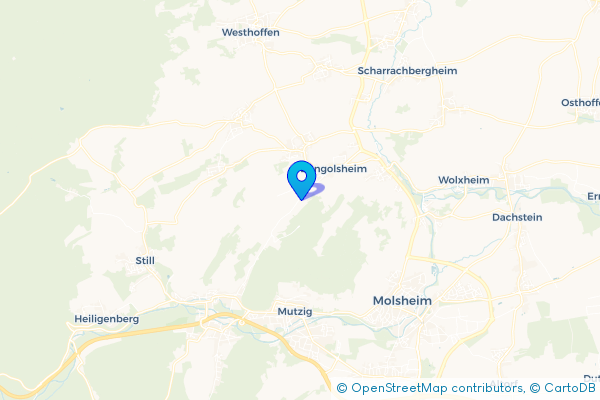 Épaviste à Dangolsheim (67310)