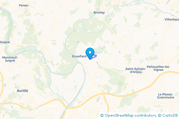Épaviste à Écouflant (49000)