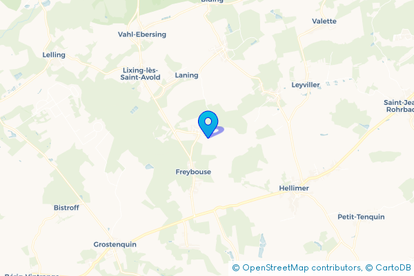 Épaviste à Frémestroff (57660)