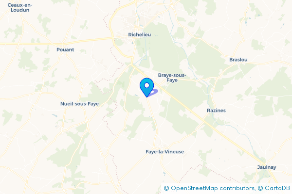 Épaviste Gratuit à Braye-sous-Faye (37120)