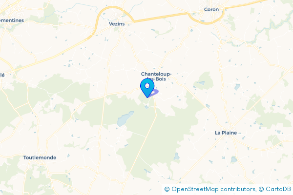 Épaviste Gratuit à Chanteloup-les-Bois (49340)