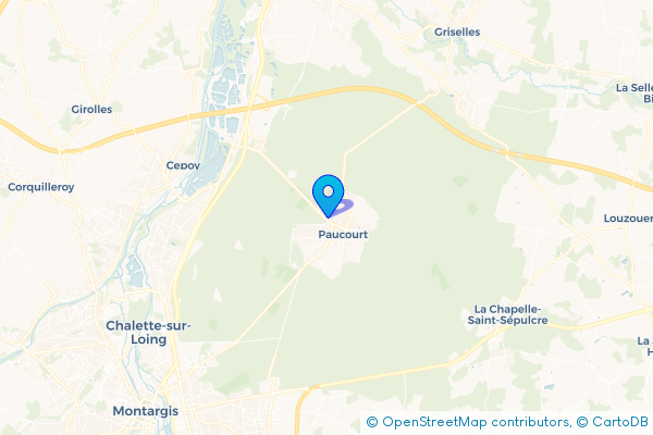 Épaviste à Paucourt (45200)