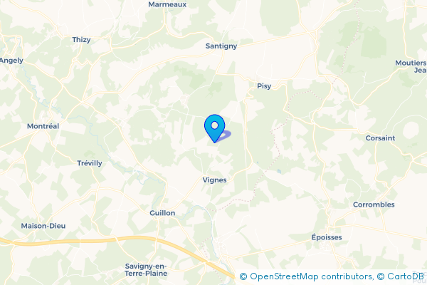Épaviste à Vignes (89420)