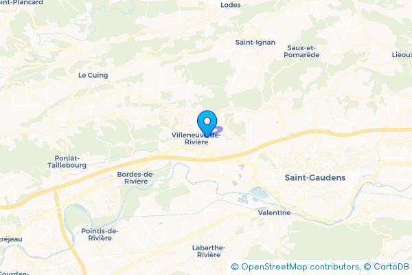 Épaviste à Villeneuve-de-Rivière (31800)