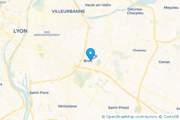 Épaviste à Bron (69500)