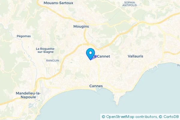 Épaviste au Cannet (06110)
