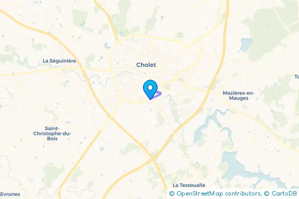 Épaviste à Cholet (49300)