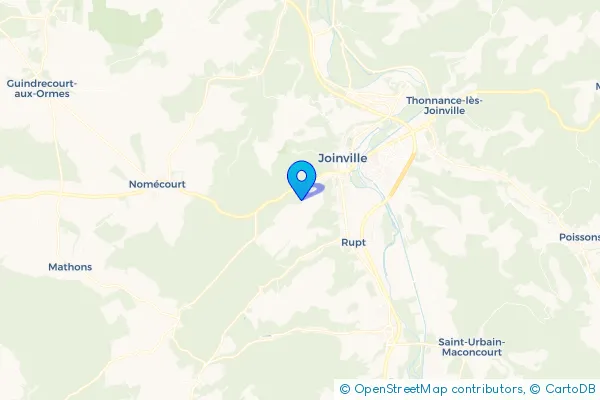 Épaviste à Joinville (52300)