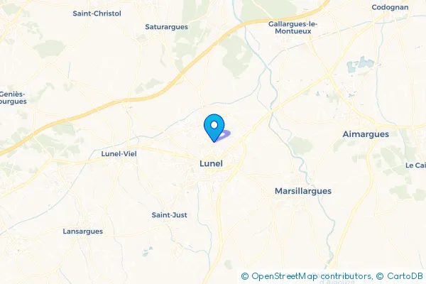 Épaviste à Lunel (34400)