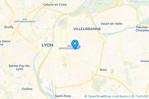 Épaviste à Lyon (69003)