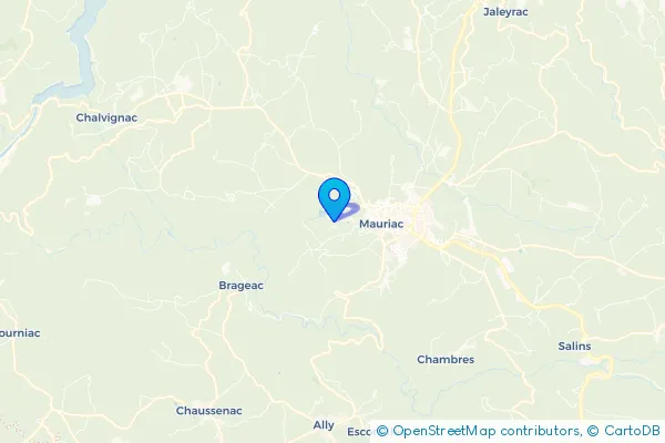 Épaviste à Mauriac (15200)