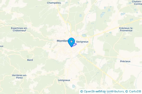 Épaviste à Montbrison (42600)
