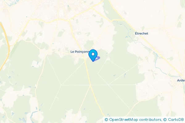 Épaviste au Poinçonnet (36330)