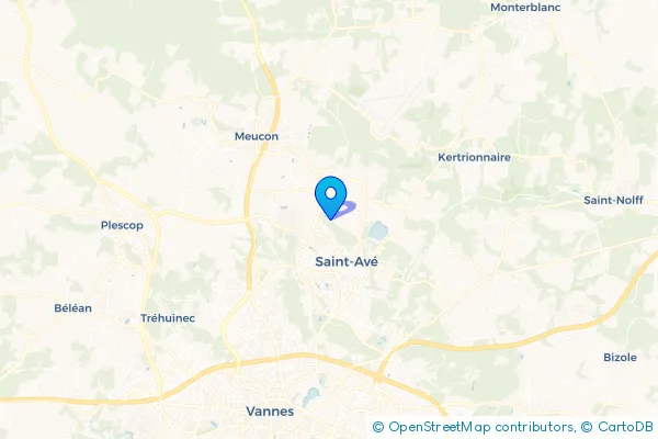 Épaviste à Saint-Avé (56890)