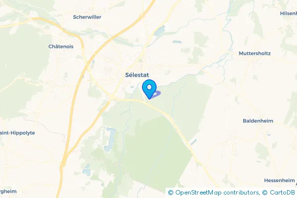 Épaviste à Sélestat (67600)