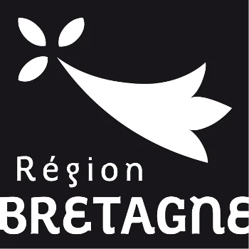 Épaviste Bretagne