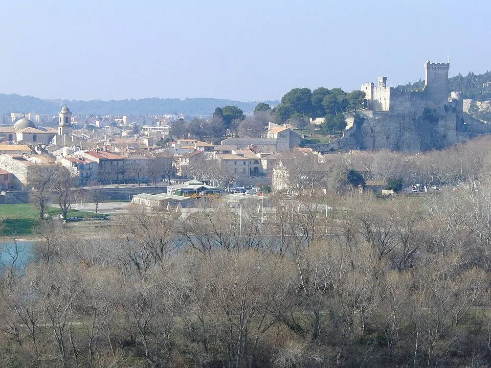 Beaucaire — Épaviste à Beaucaire (30300)