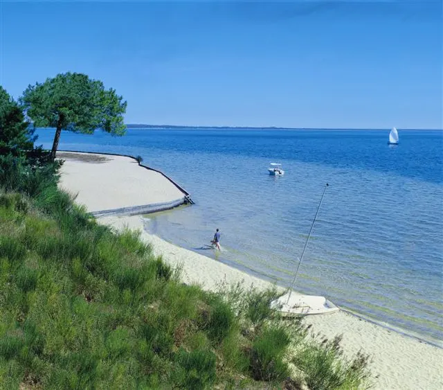Biscarrosse — Épaviste à Biscarrosse (40600)