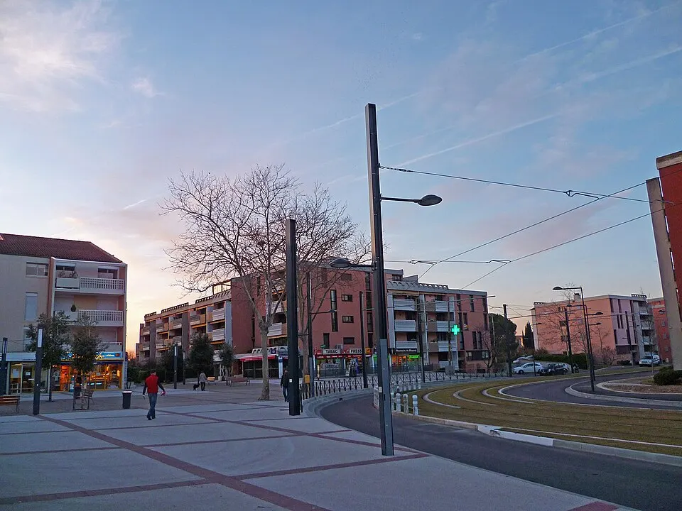 Blagnac — Épaviste à Blagnac (31700)
