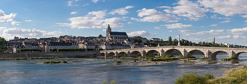 Blois — Épaviste à Blois (41000)