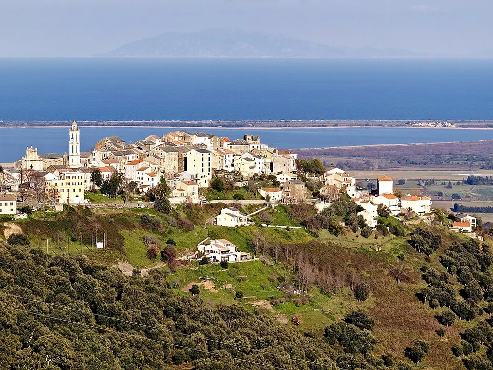 Borgo — Épaviste à Borgo (20290)