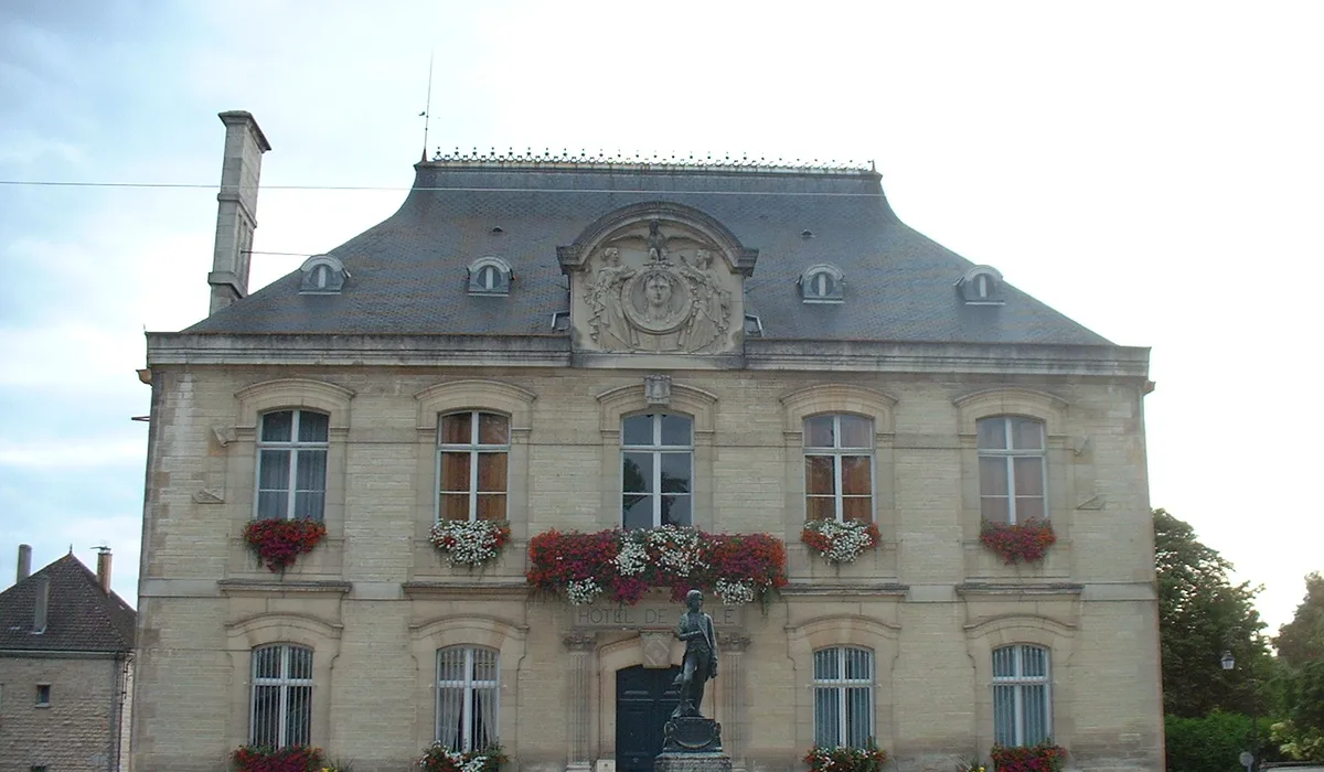 Brienne-le-Château — Épaviste à Brienne-le-Château (10500)