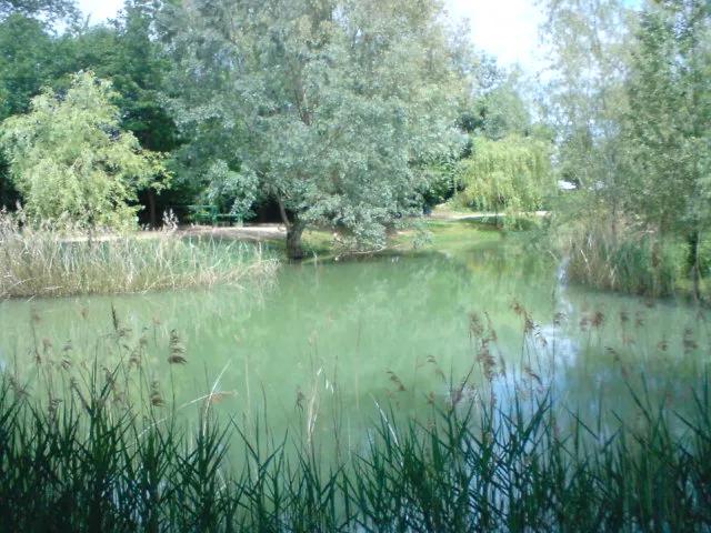 Foulayronnes — Épaviste à Foulayronnes (47510)