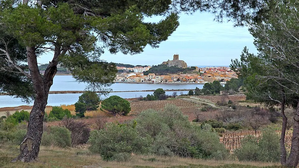 Gruissan — Épaviste à Gruissan (11430)