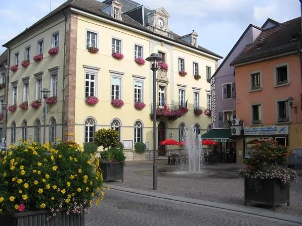 Héricourt — Épaviste à Héricourt (70400)