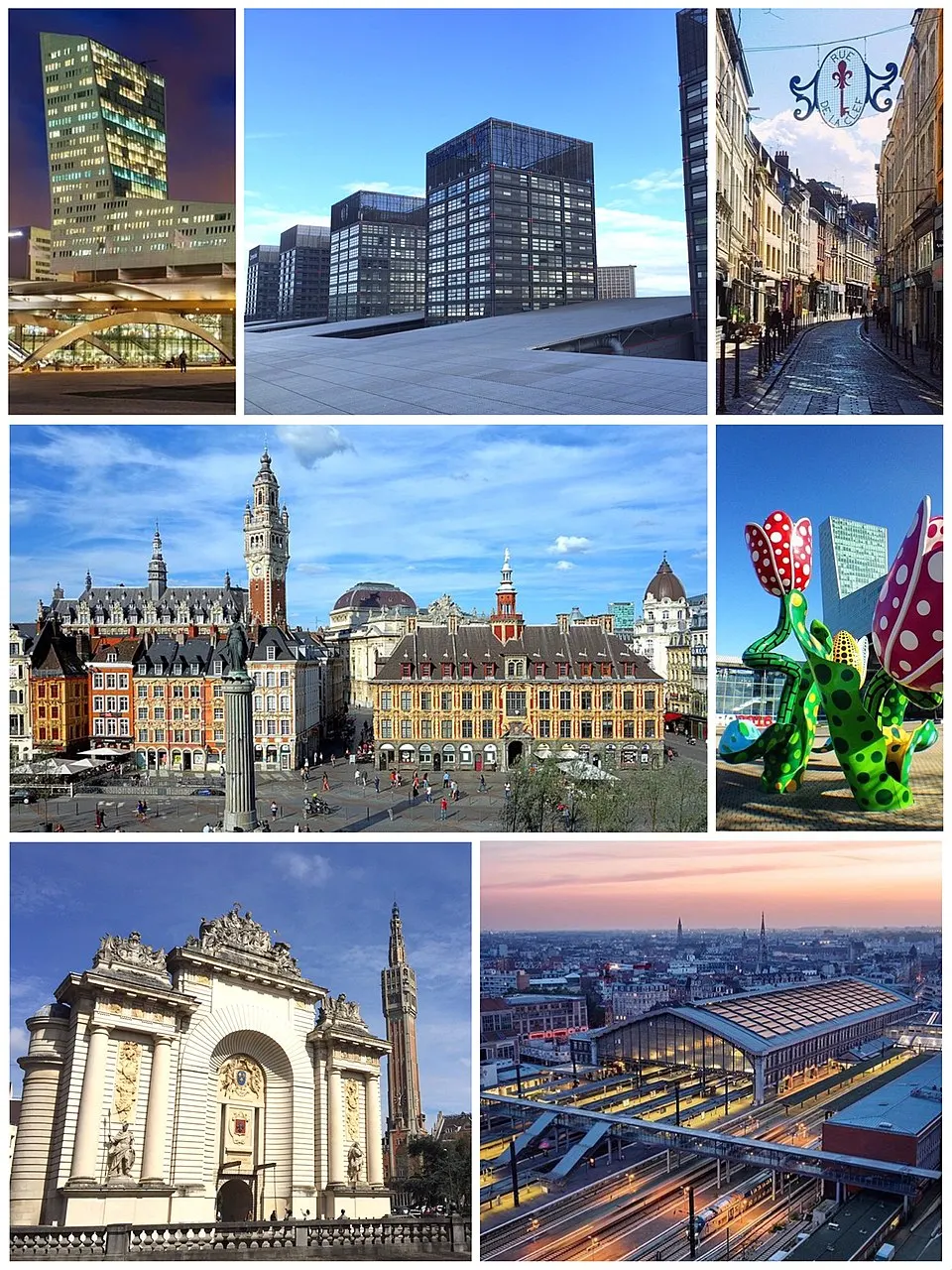 Lille — Épaviste à Lille (59000)