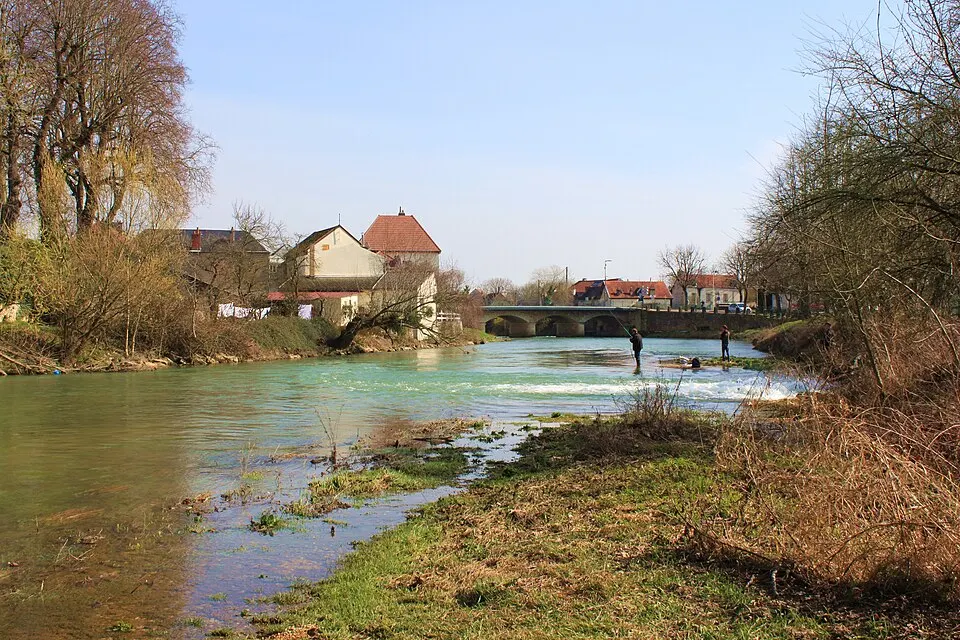 Longvic — Épaviste à Longvic (21600)