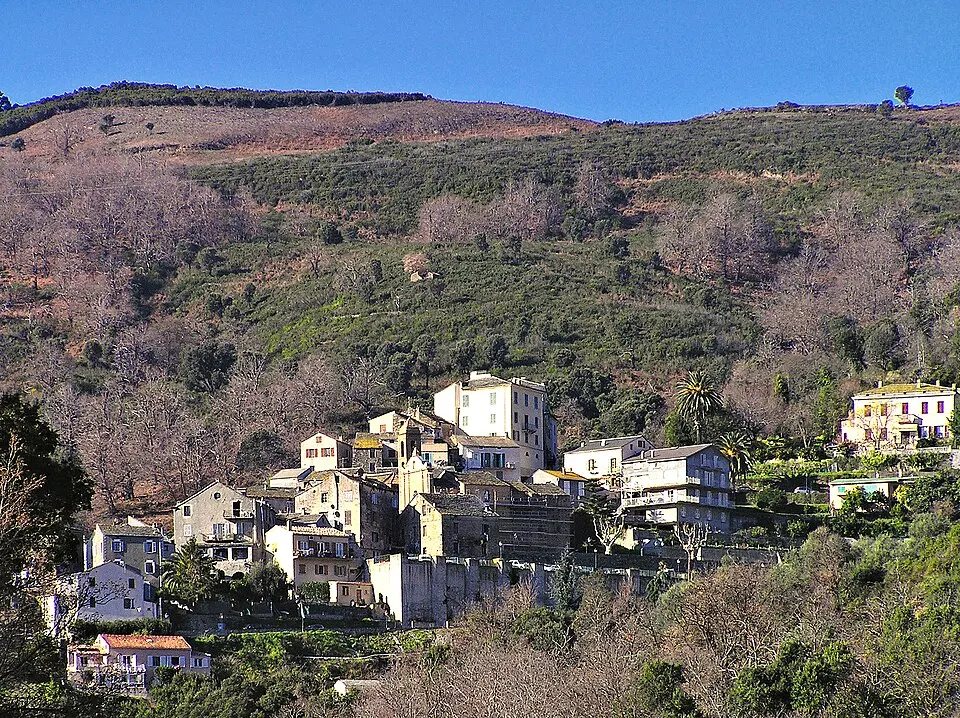 Lucciana — Épaviste à Lucciana (20290)