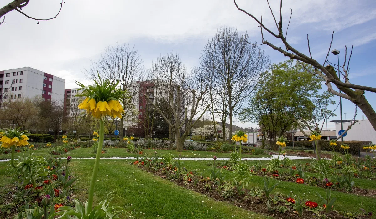 Montigny-lès-Cormeilles — Épaviste à Montigny-lès-Cormeilles (95370)