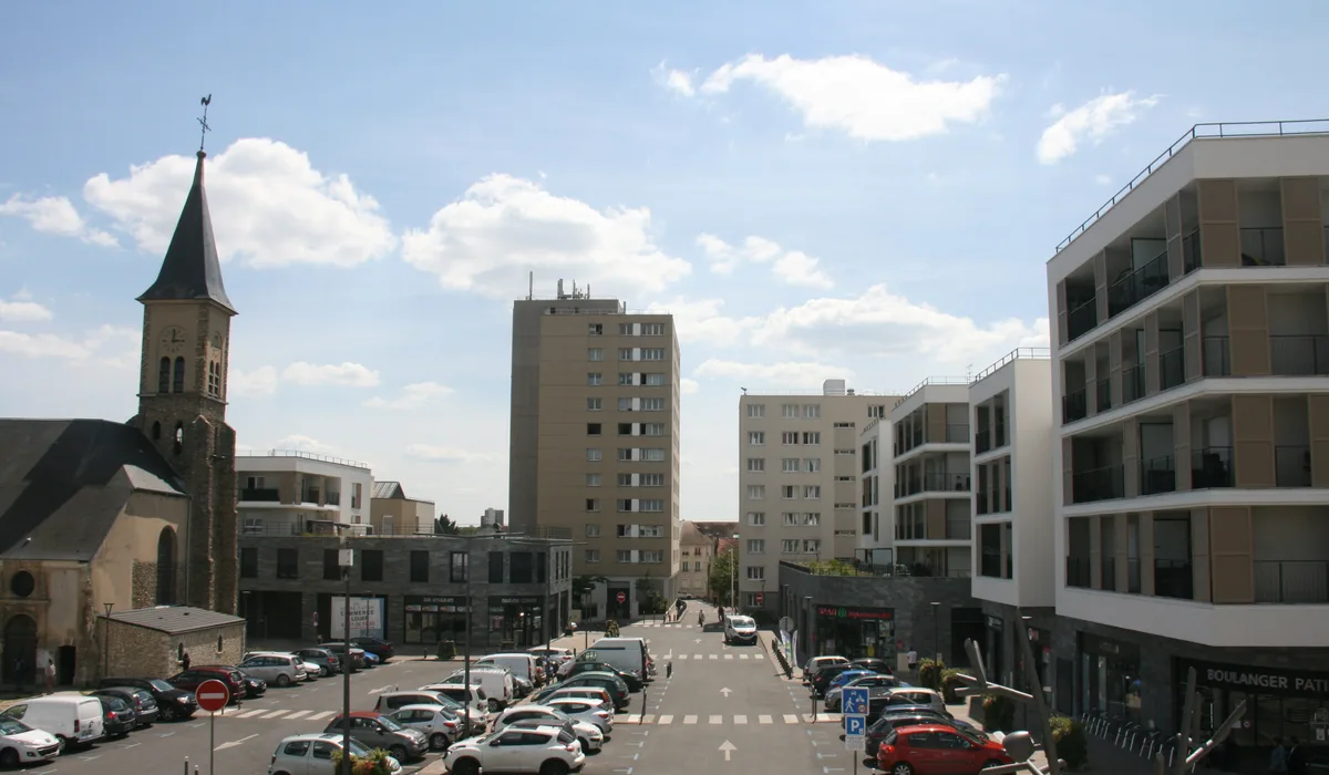 Montmagny — Épaviste à Montmagny (95360)