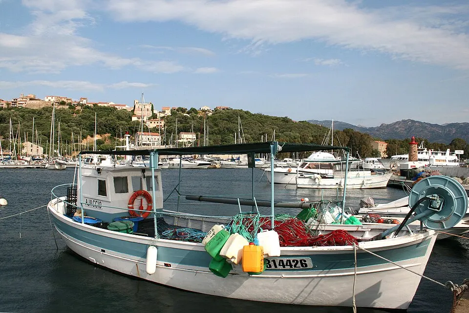 Porto-Vecchio — Épaviste à Porto-Vecchio (20137)
