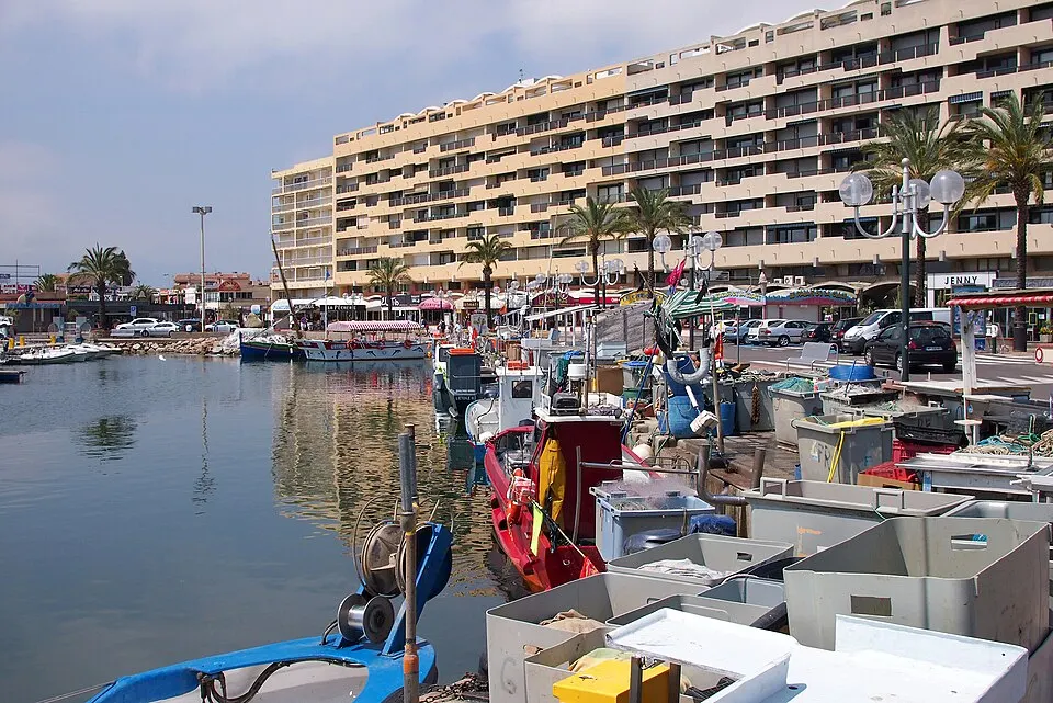Saint-Cyprien — Épaviste à Saint-Cyprien (66750)