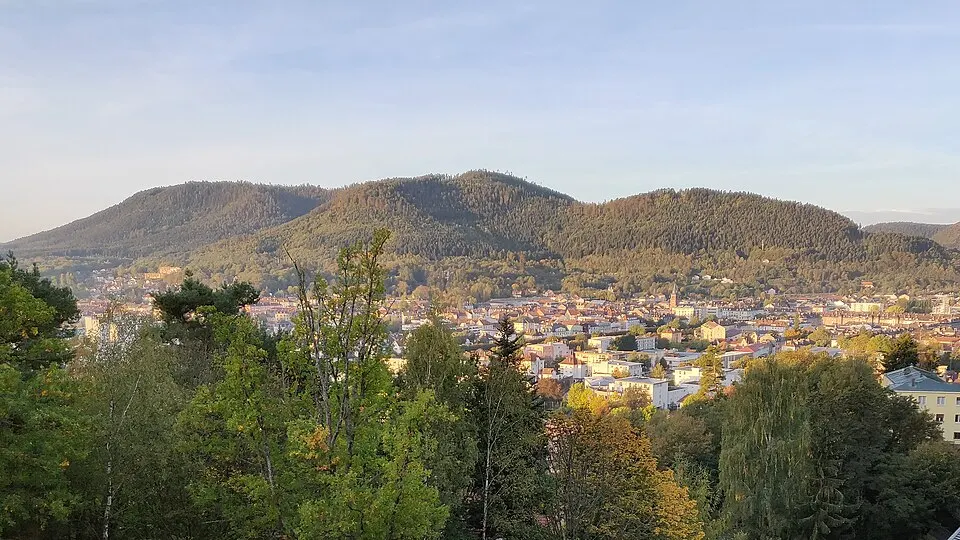 Saint-Dié-des-Vosges — Épaviste à Saint-Dié-des-Vosges (88100)