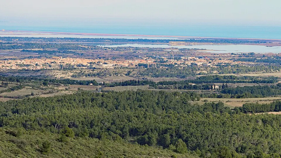 Sigean — Épaviste à Sigean (11130)