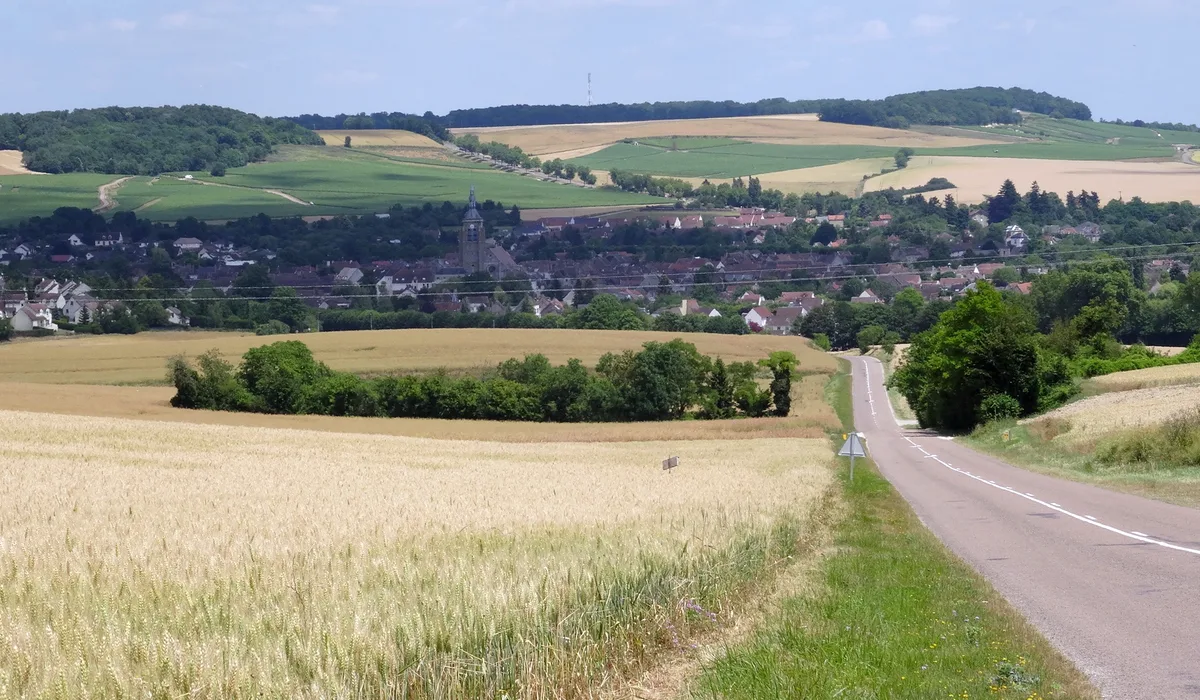 Villenauxe-la-Grande — Épaviste à Villenauxe-la-Grande (10370)